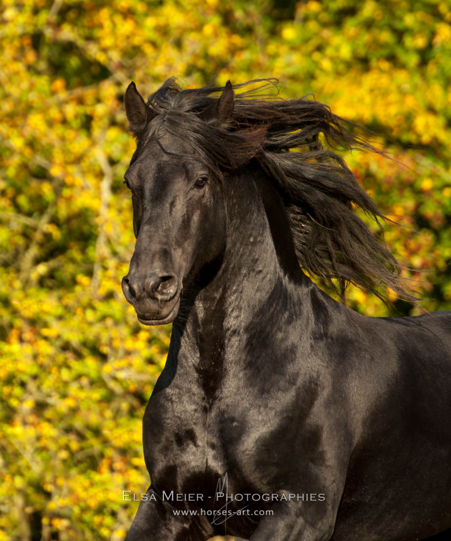 FACEBOOK_Vallon des CN_EM_15-48